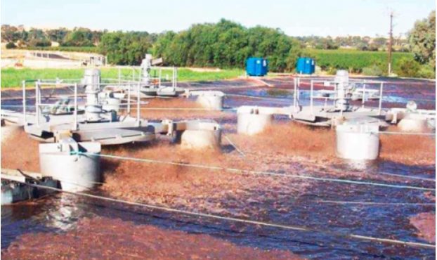 Byjas Sewage Treatment