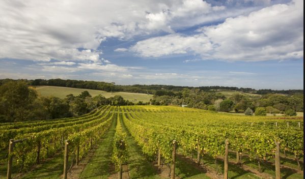 Winery Wastewater Treatment