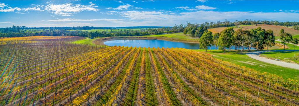 We-Make-and-Install-Surface-Aerators-in-Ponds-for-Wineries