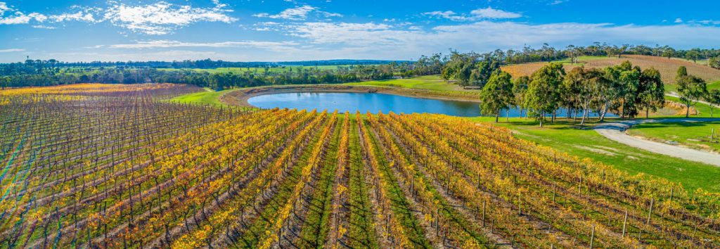 Winery Pond