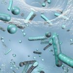 Sewage Treatment