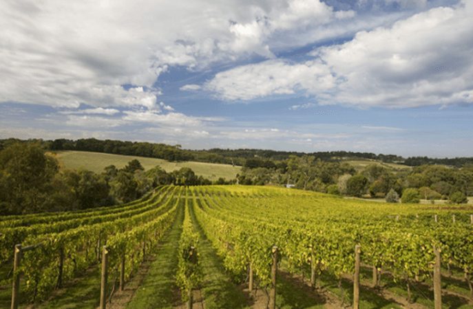 winery image